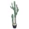 Cactus vert en pot de 94 cm d’Ashland